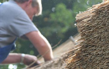 professional Peinmore thatchers