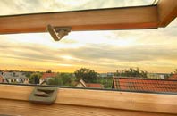 rated Peinmore roof window companies
